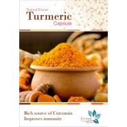  Turmeric ORGANICPOWDER - 100GM  EUROPEAYURVEDAPRODUCTS