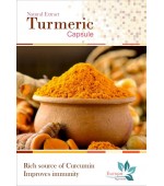  Turmeric ORGANICPOWDER - 100GM  EUROPEAYURVEDAPRODUCTS